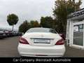 Mercedes-Benz CLS 250 CLS CLS 250 BlueTec / d Weiß - thumbnail 6