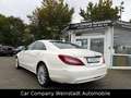 Mercedes-Benz CLS 250 CLS CLS 250 BlueTec / d Weiß - thumbnail 5