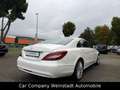 Mercedes-Benz CLS 250 CLS CLS 250 BlueTec / d Weiß - thumbnail 7