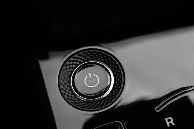 Kia E-Niro view 21