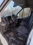 Ford Transit Bus Transit L3 H 3 Trend Blanc - thumbnail 2