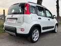 Fiat Panda Panda 1.0 firefly hybrid City Life OK NEOPATENTATI - thumbnail 4