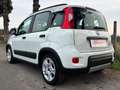 Fiat Panda Panda 1.0 firefly hybrid City Life OK NEOPATENTATI - thumbnail 7