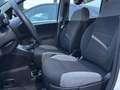 Fiat Panda Panda 1.0 firefly hybrid City Life OK NEOPATENTATI - thumbnail 8
