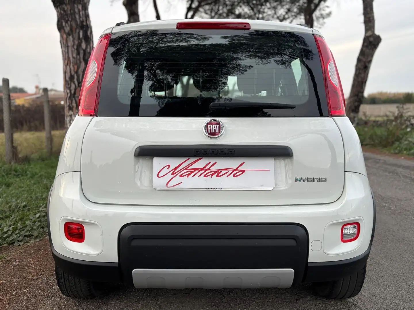 Fiat Panda Panda 1.0 firefly hybrid City Life OK NEOPATENTATI - 2