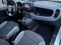 Fiat Panda Panda 1.0 firefly hybrid City Life OK NEOPATENTATI - thumbnail 10