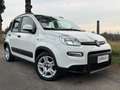 Fiat Panda Panda 1.0 firefly hybrid City Life OK NEOPATENTATI - thumbnail 6