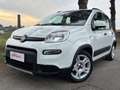 Fiat Panda Panda 1.0 firefly hybrid City Life OK NEOPATENTATI - thumbnail 5