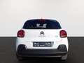 Citroen C3 PureTech 83 Shine Pack Weiß - thumbnail 3