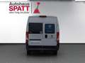 Fiat Ducato Kastenwagen 30 L2H2 130 !! Neuzugang !! Weiß - thumbnail 4