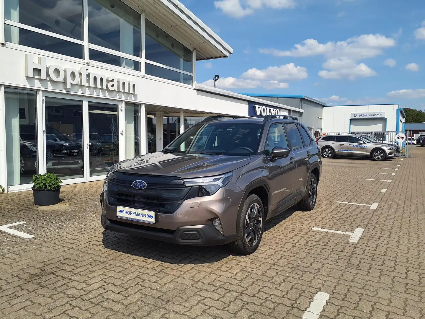 Subaru Forester 2.0ie AWD Aut. Exclusive/Panoramadach Bronzo - 1