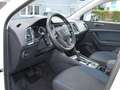 SEAT Ateca Seat Ateca 1,5 Style ACT TSI DSG Weiß - thumbnail 9