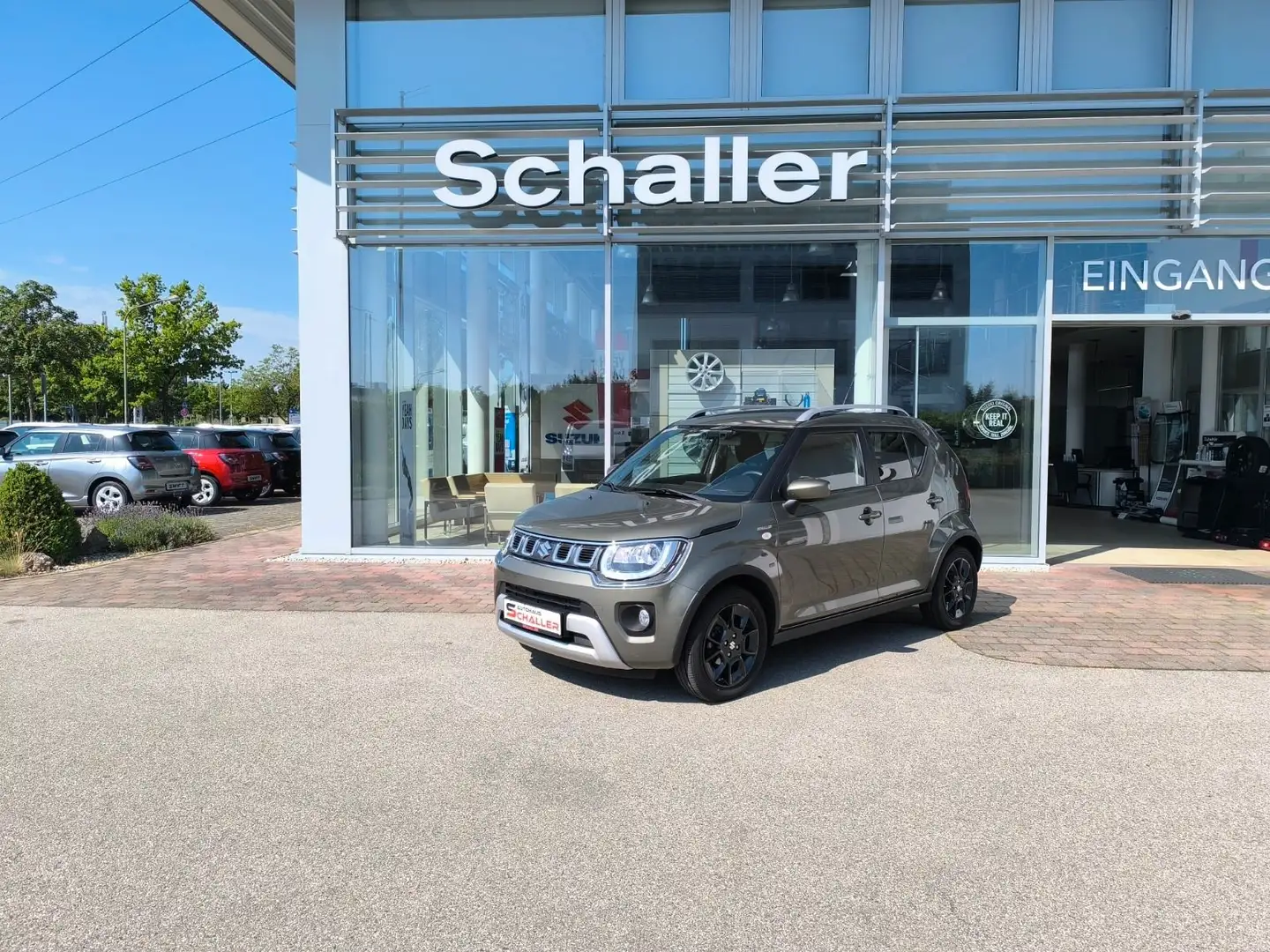 Suzuki Ignis 1.2 Dualjet Hybrid Allgrip 4x4 - Comfort Grün - 1