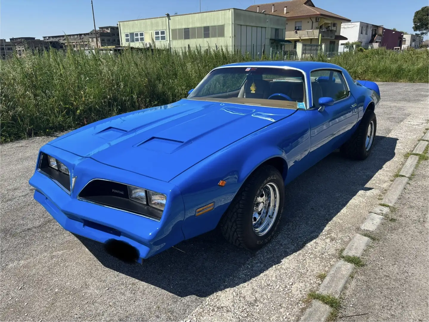 Pontiac Firebird 6.6 V8 Blu/Azzurro - 2