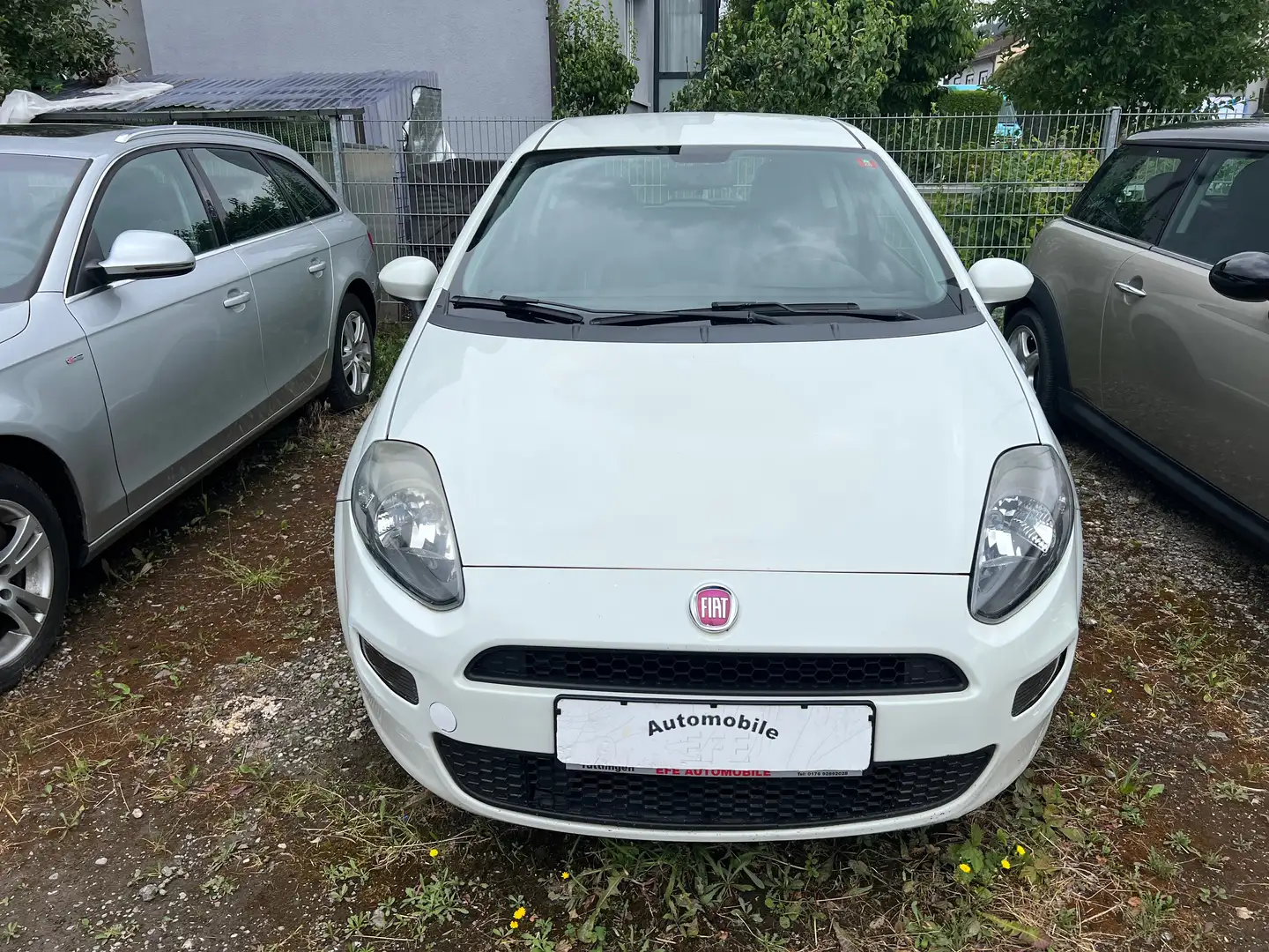 Fiat Punto 1.4 TÜV 09/2025 Weiß - 2