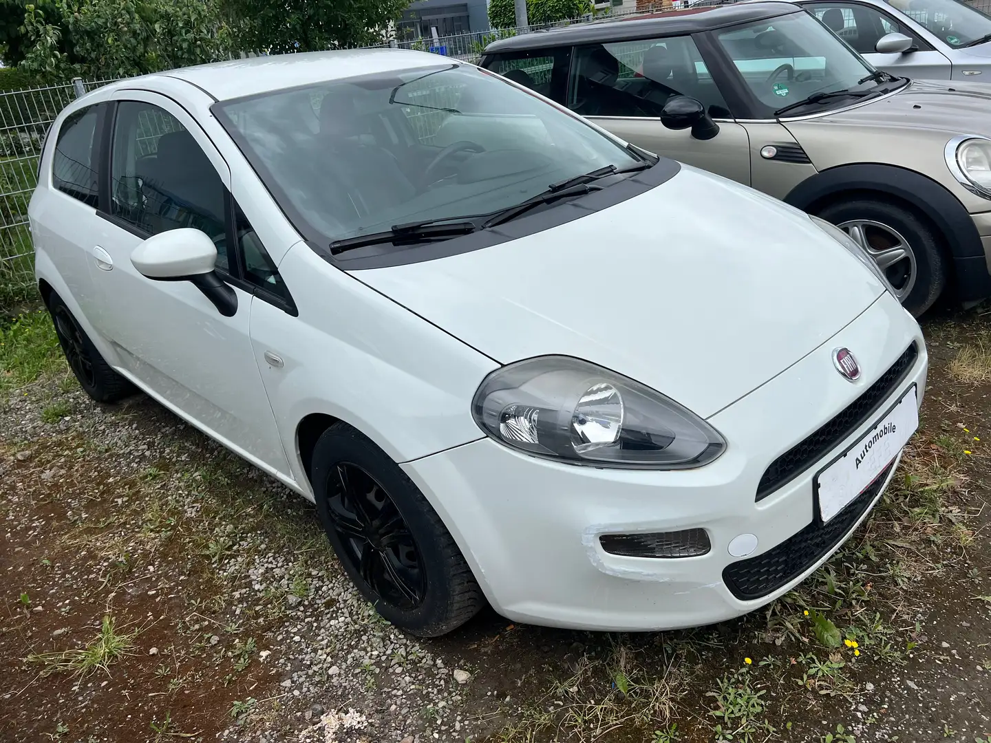 Fiat Punto 1.4 TÜV 09/2025 Weiß - 1