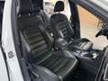 Volkswagen Golf GTE 1.4 TSI / SUPER NETJES / DEALER ONDERHOUDEN / PANO Blanc - thumbnail 18