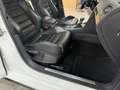 Volkswagen Golf GTE 1.4 TSI / SUPER NETJES / DEALER ONDERHOUDEN / PANO Blanc - thumbnail 35