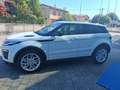 Land Rover Range Rover Evoque 2.0 TD4 180 CV 5p. HSE Dynamic Blanc - thumbnail 7
