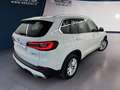 BMW X5 xdrive25d xLine auto Bianco - thumbnail 3