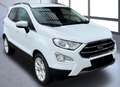 Ford EcoSport 1.0 EcoBoost 125 CV Start&Stop Titanium Білий - thumbnail 8