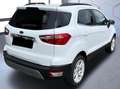 Ford EcoSport 1.0 EcoBoost 125 CV Start&Stop Titanium Білий - thumbnail 12