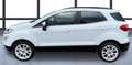 Ford EcoSport 1.0 EcoBoost 125 CV Start&Stop Titanium Білий - thumbnail 11