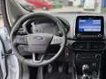 Ford EcoSport 1.0 EcoBoost 125 CV Start&Stop Titanium Білий - thumbnail 2