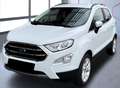 Ford EcoSport 1.0 EcoBoost 125 CV Start&Stop Titanium Білий - thumbnail 9