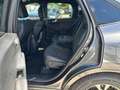 Ford Kuga Plug-In Hybrid ST-Line X Gris - thumbnail 12