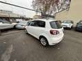 Volkswagen Golf Plus 1.6 TDI 105 Carat DSG7 - thumbnail 4