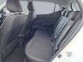 Hyundai i10 FL (MY25) 1.0 Benzin (63 PS) 5-MT 2WD Trend Weiß - thumbnail 11