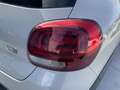 Citroen C3 PureTech 83 S&S Live Grigio - thumbnail 20
