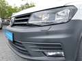 Volkswagen Caddy 1.0 TSI H.flügeltüren Klima Sitzh. Blanco - thumbnail 12