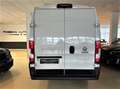 Fiat Ducato Maxi 3,5t Aut. 180 Multijet L5H2 ISRI Kamera Weiß - thumbnail 5