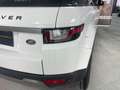 Land Rover Range Rover Evoque 5p 2.0 eD4 110 kW (150 CV) 4x2 Pure Weiß - thumbnail 19