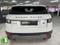 Land Rover Range Rover Evoque 5p 2.0 eD4 110 kW (150 CV) 4x2 Pure Blanco - thumbnail 5