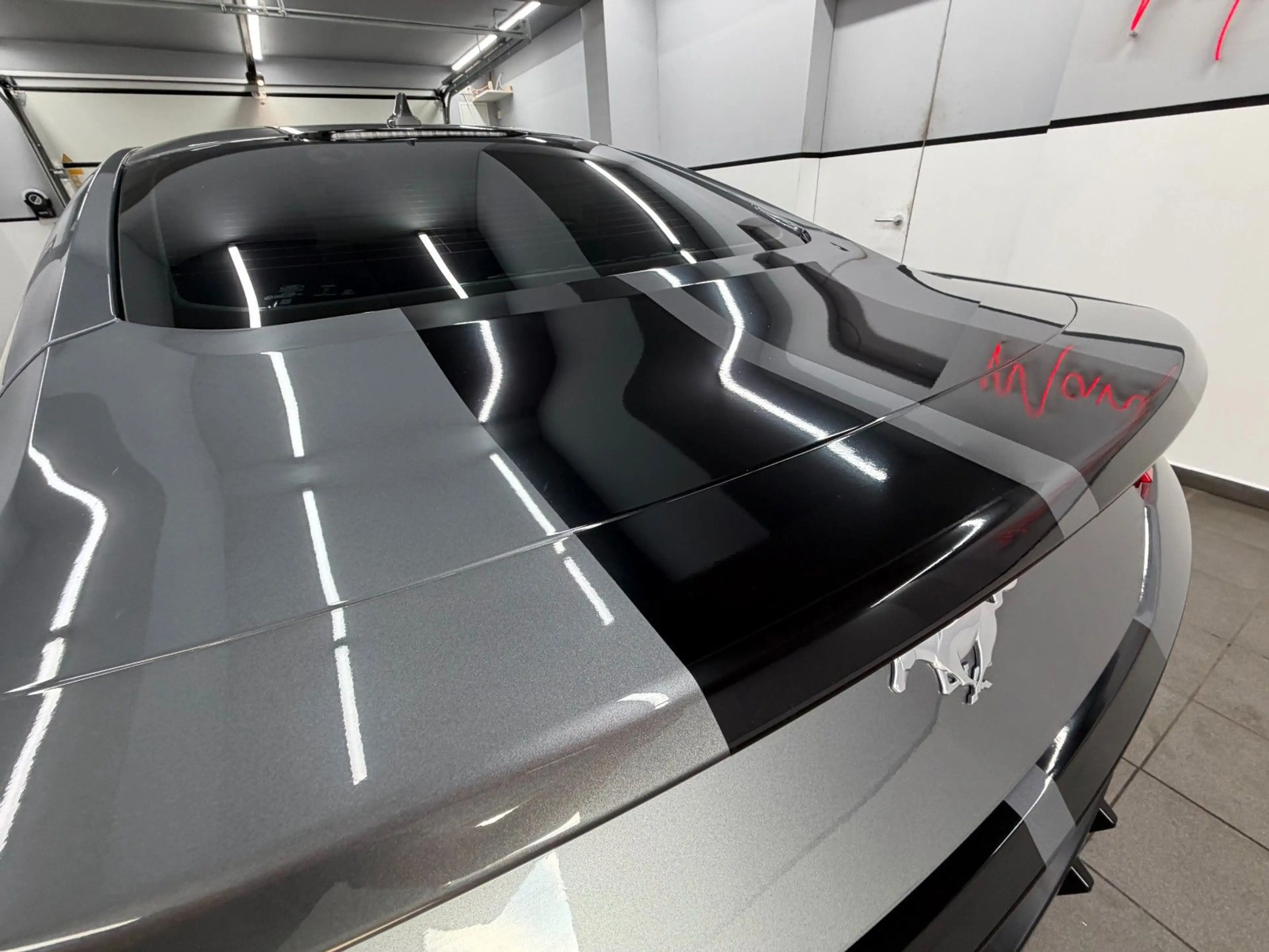 Ford Mustang Eco 2.3 Carbonized Grey/Duplex AGA/Perfo — photo 6