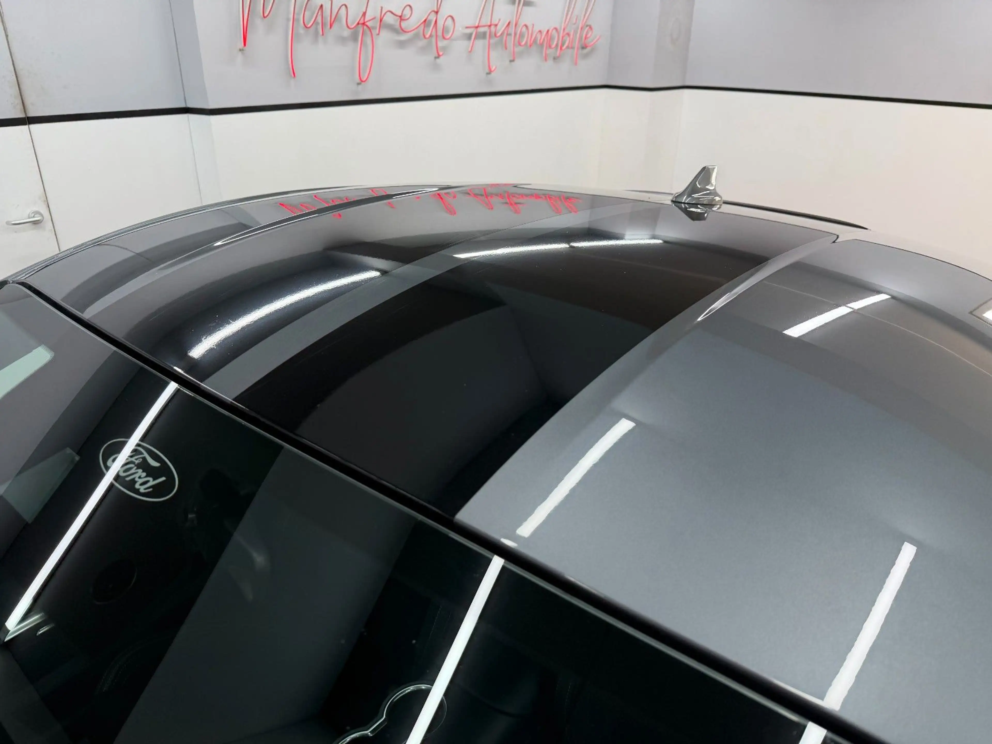 Ford Mustang Eco 2.3 Carbonized Grey/Duplex AGA/Perfo — photo 10
