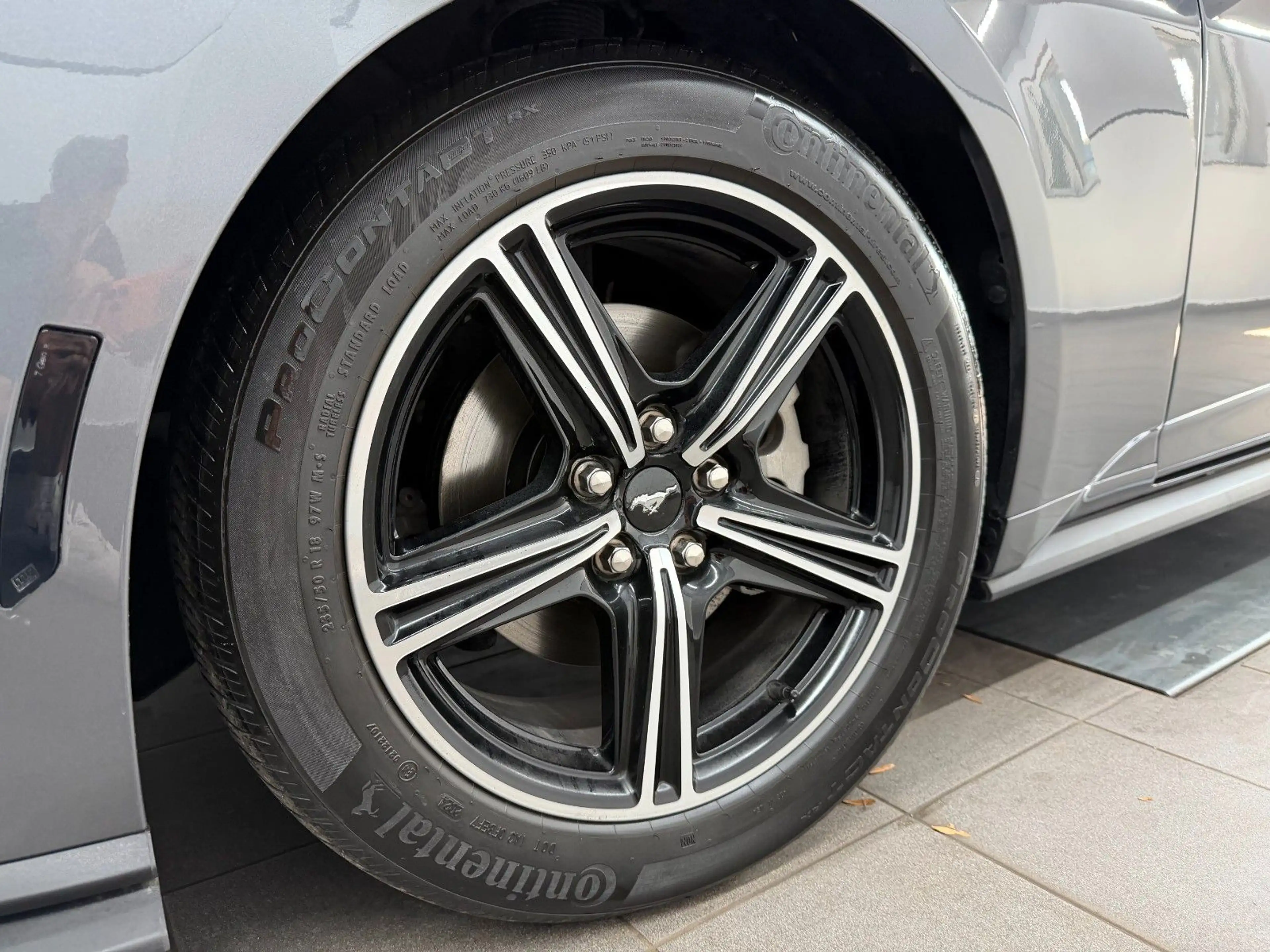 Ford Mustang Eco 2.3 Carbonized Grey/Duplex AGA/Perfo — photo 13