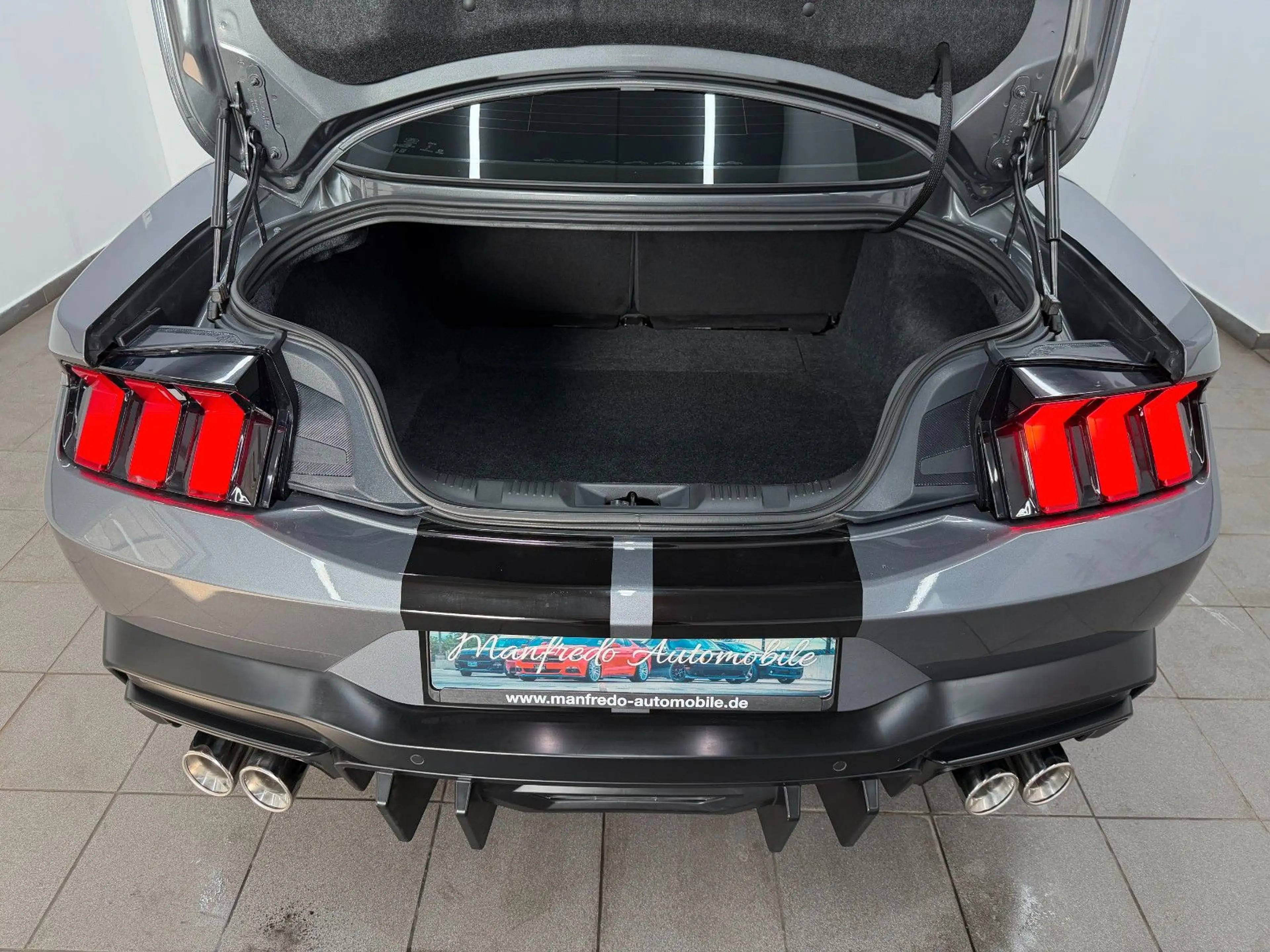 Ford Mustang Eco 2.3 Carbonized Grey/Duplex AGA/Perfo — photo 12