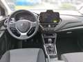 Suzuki S-Cross 1.4 GL HYBRID ALLGRIP shine 2xKlima LED Rot - thumbnail 11