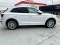 Audi Q5 40 TDI Black line quattro-ultra S tronic 140kW Blanco - thumbnail 10