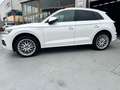 Audi Q5 40 TDI Black line quattro-ultra S tronic 140kW Blanco - thumbnail 4