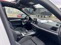 Audi Q5 40 TDI Black line quattro-ultra S tronic 140kW Blanco - thumbnail 11