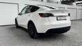 Tesla Model Y RWD | Matzwarte wieldeksels Wit - thumbnail 16
