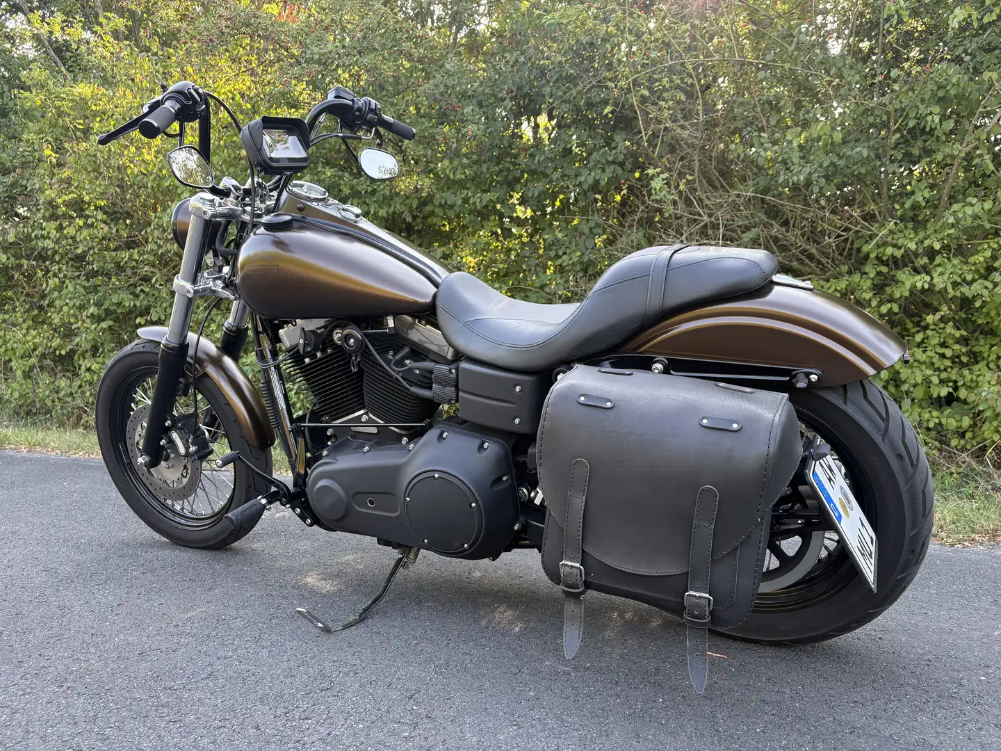 Harley-Davidson Dyna Street Bob - 1