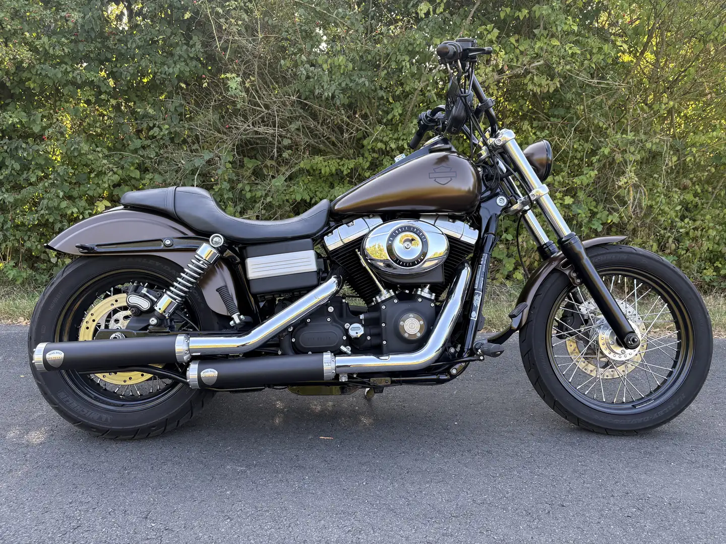 Harley-Davidson Dyna Street Bob - 2