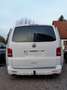 Volkswagen T5 Multivan Multivan Kurz DSG 4MOTION Match Weiß - thumbnail 23