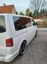 Volkswagen T5 Multivan Multivan Kurz DSG 4MOTION Match Weiß - thumbnail 26